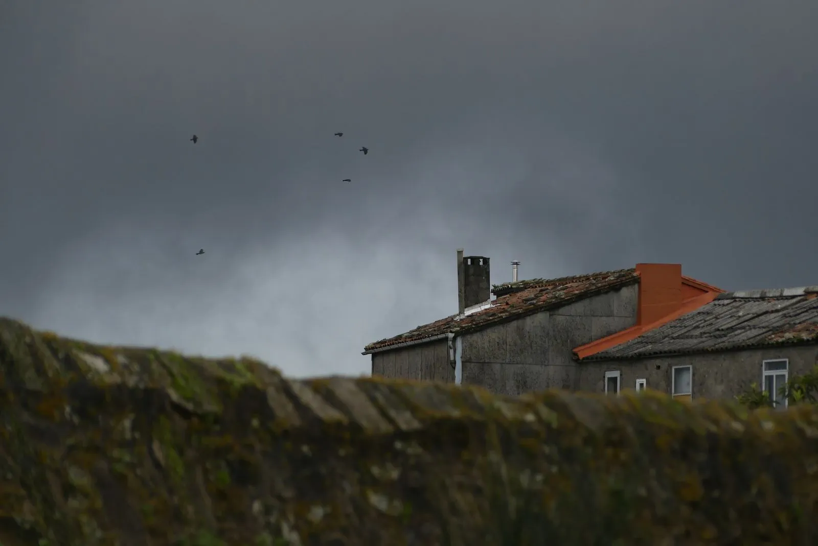 An old stone house with a mossy roof under a dark, stormy sky with birds in flight.